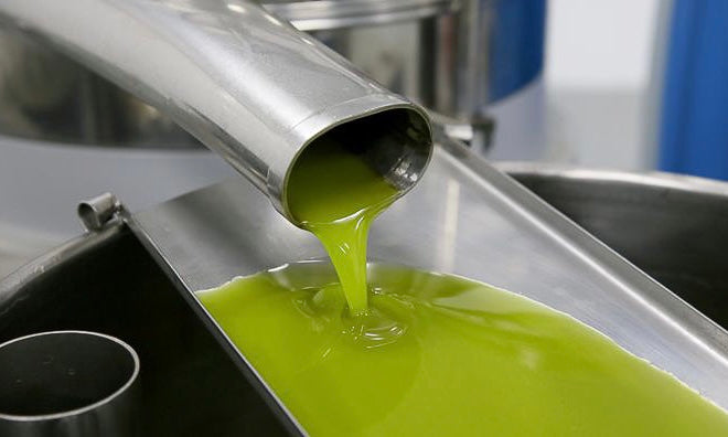 What is an Oil Mill and How Does It Work?