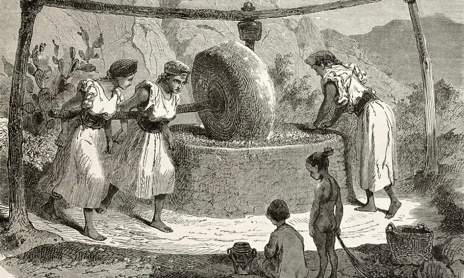 How Olive Oil Was Made in Ancient Times