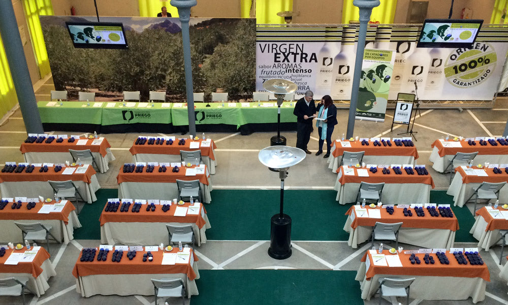 Spanish Oil Tasters Championship by teams