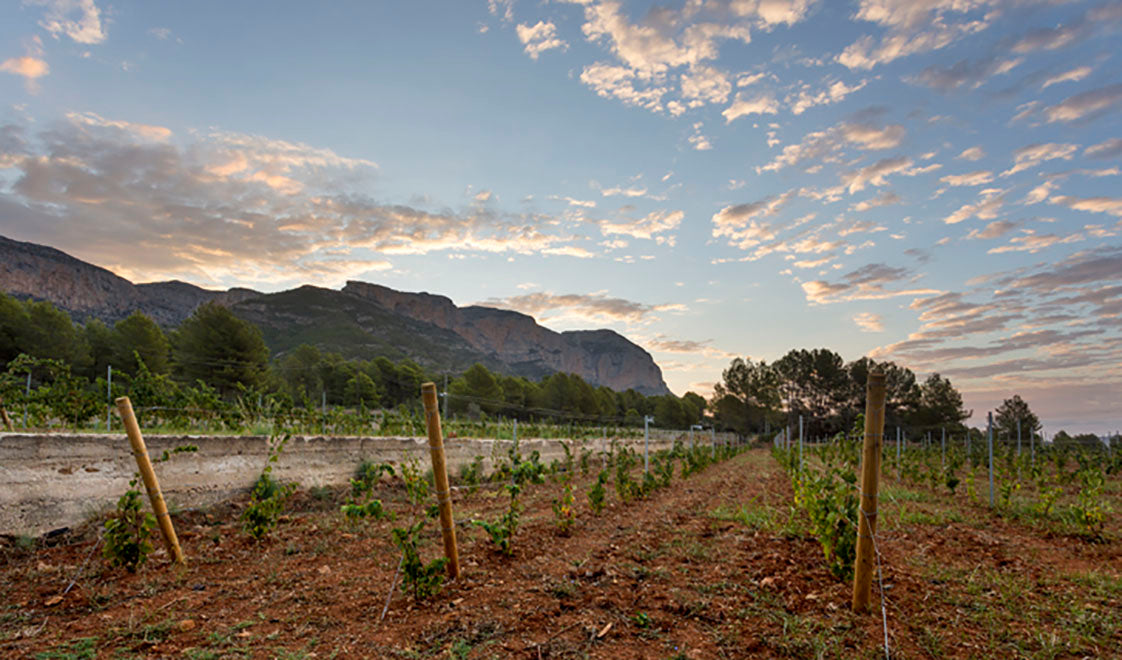 LES FRESES | MOSCATEL DULCE (5287942619288)