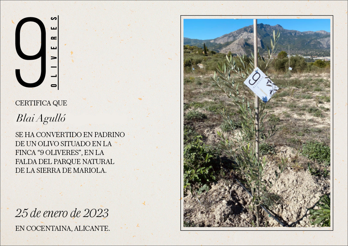 9 OLIVERES | ADOPTA UN OLIVO