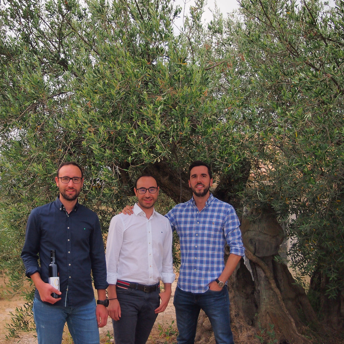 9 OLIVERES | BLANQUETA | 2 x 2.5L