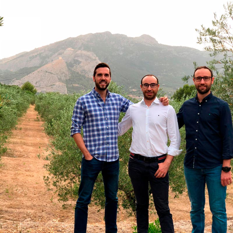 9 OLIVERES | BLANQUETA | 6 x 500ML (1719606542436)